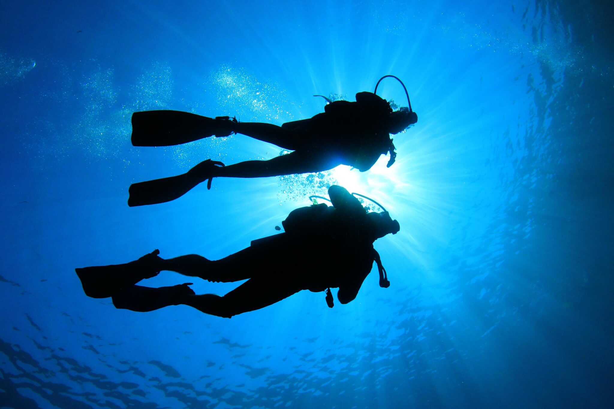 two divers swimming alongside buddy buddies
