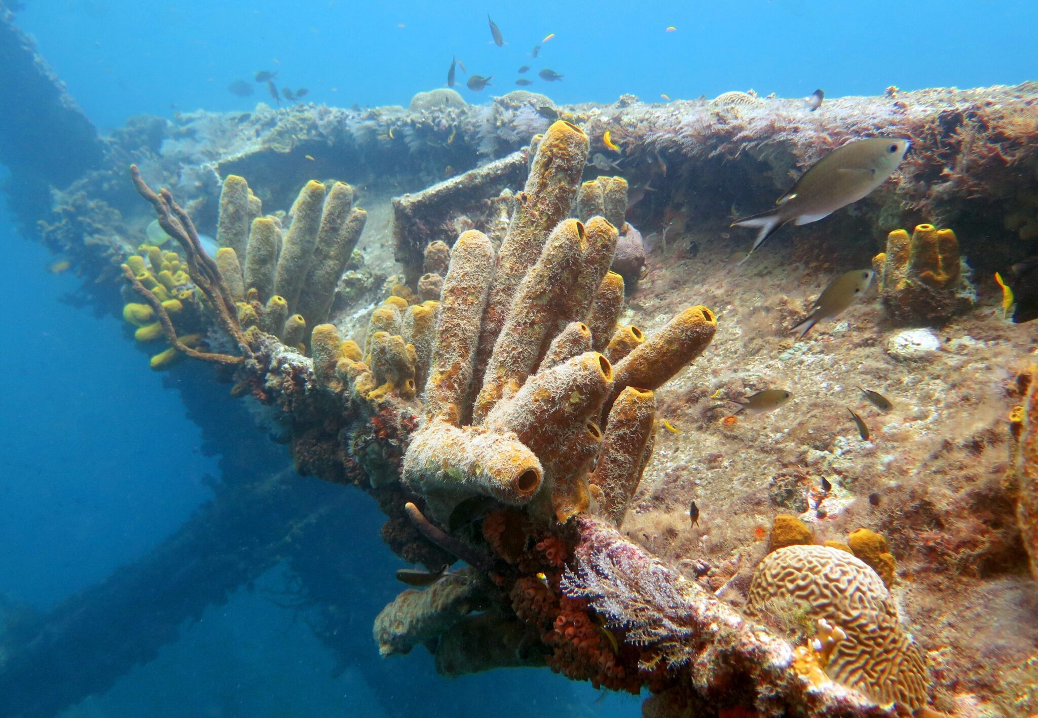 wreck antilla aruba stories history
