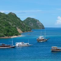 several liveaboard boats next to an island