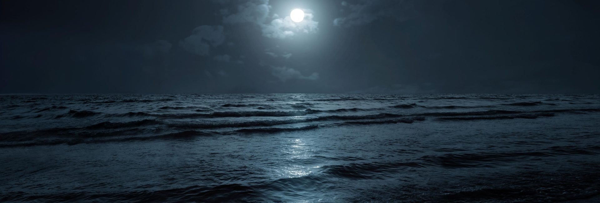 Marine Animals That Only Appear After Dark