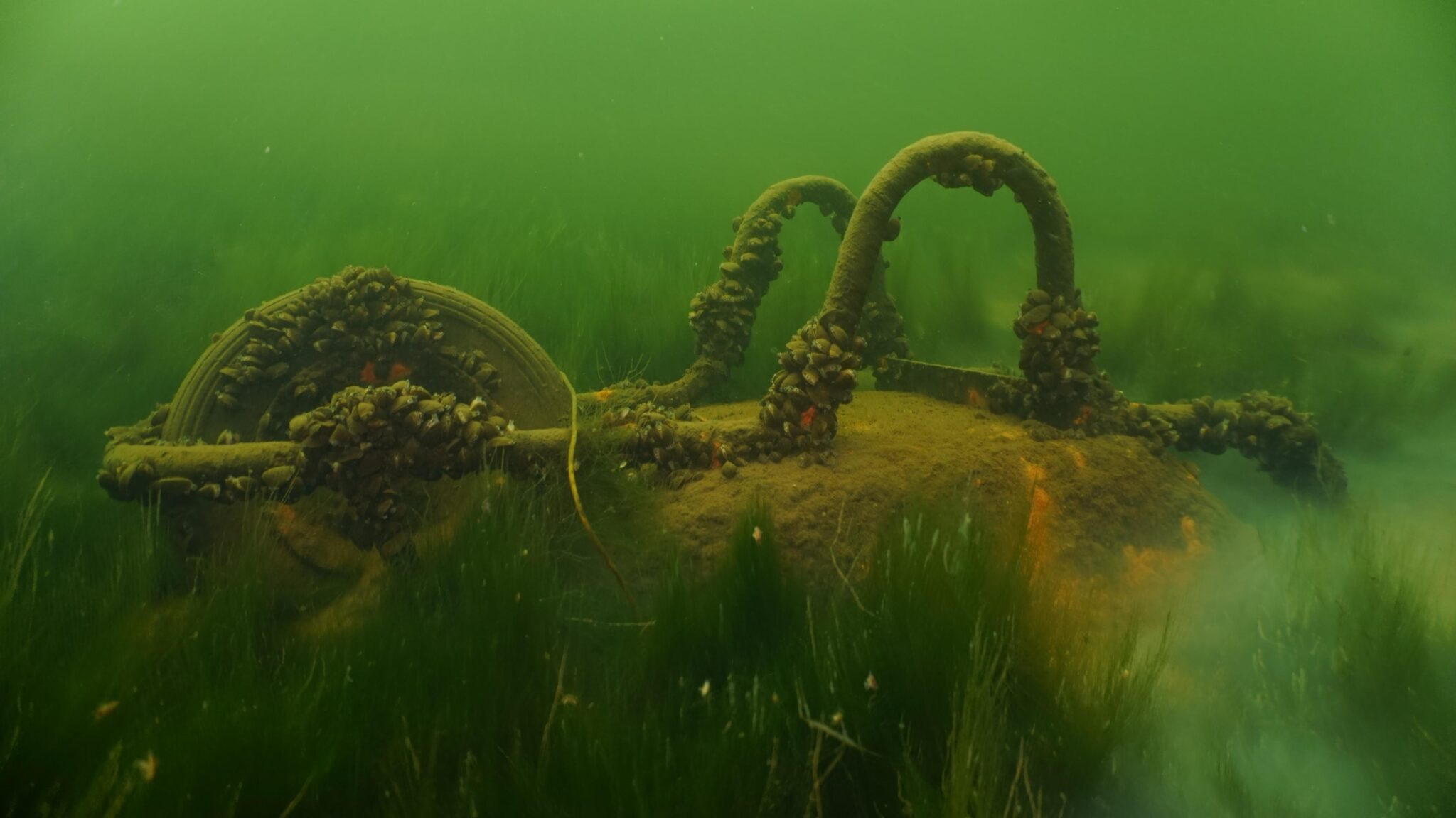 wheelbarrow in quarry water