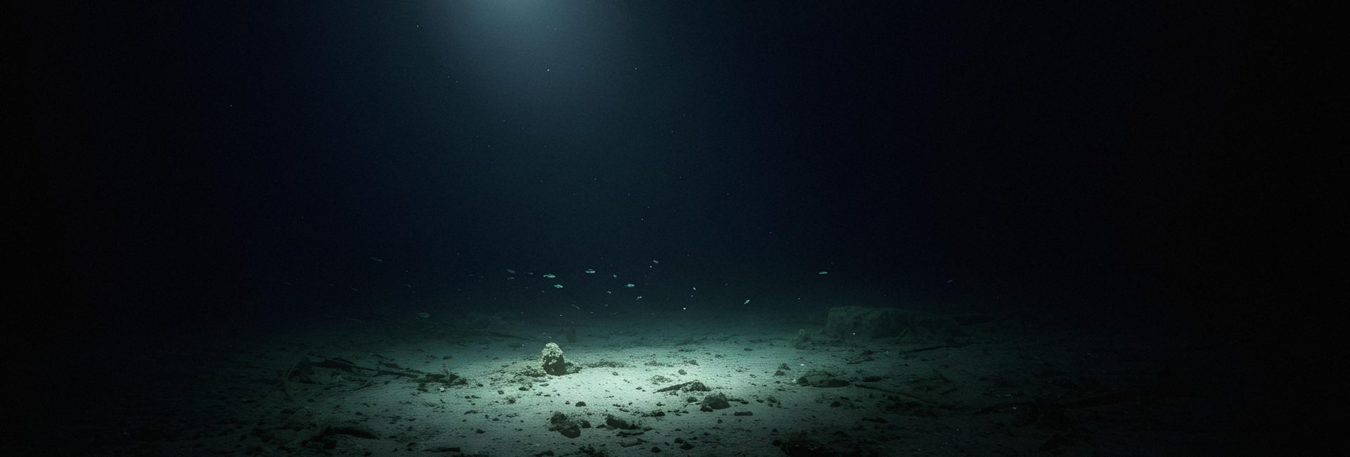 Ocean Mysteries Scientists Are Still Trying to Solve