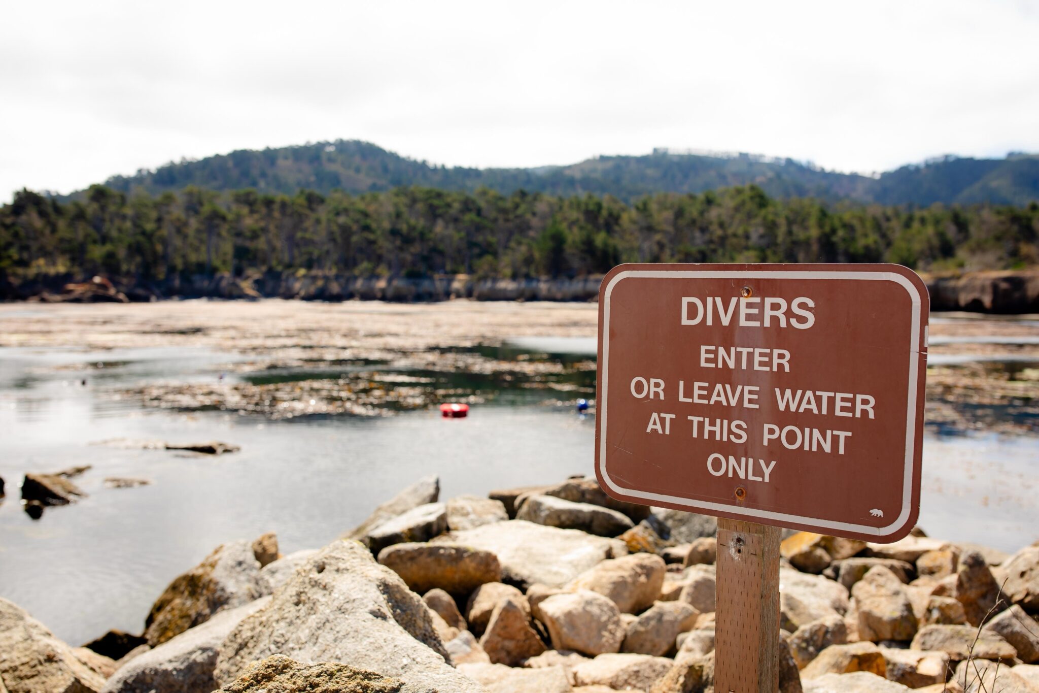 shore diving california point lobos