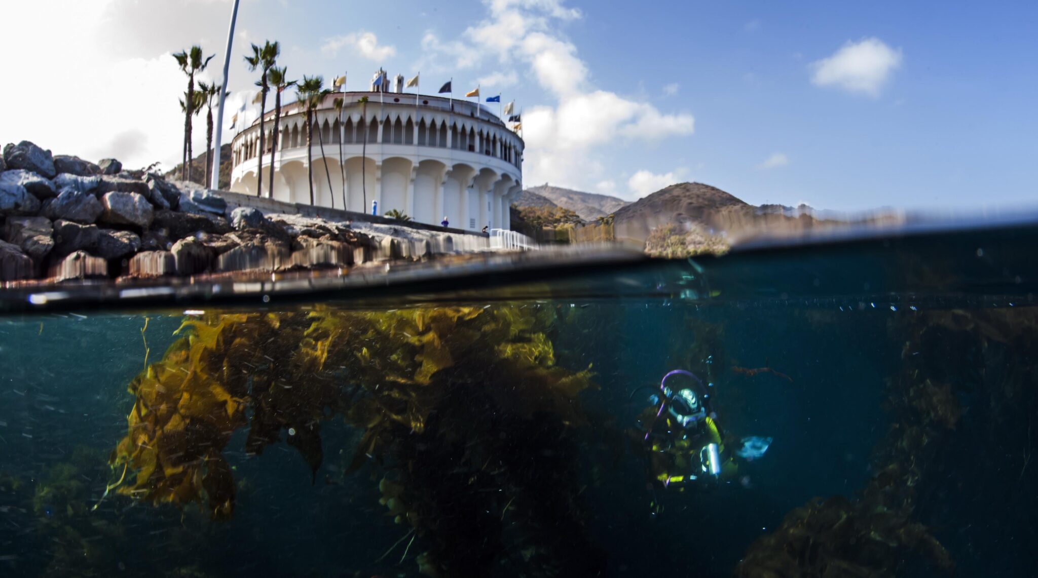 catalina island split image with diver