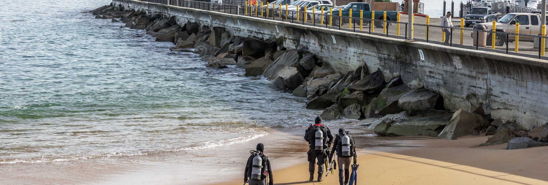 The Best Shore Diving Sites in California