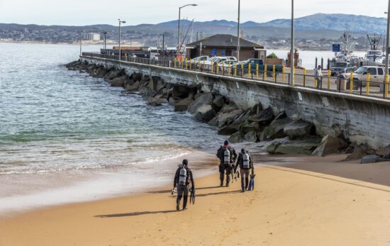 divers walking into water in monterey bay shore diving