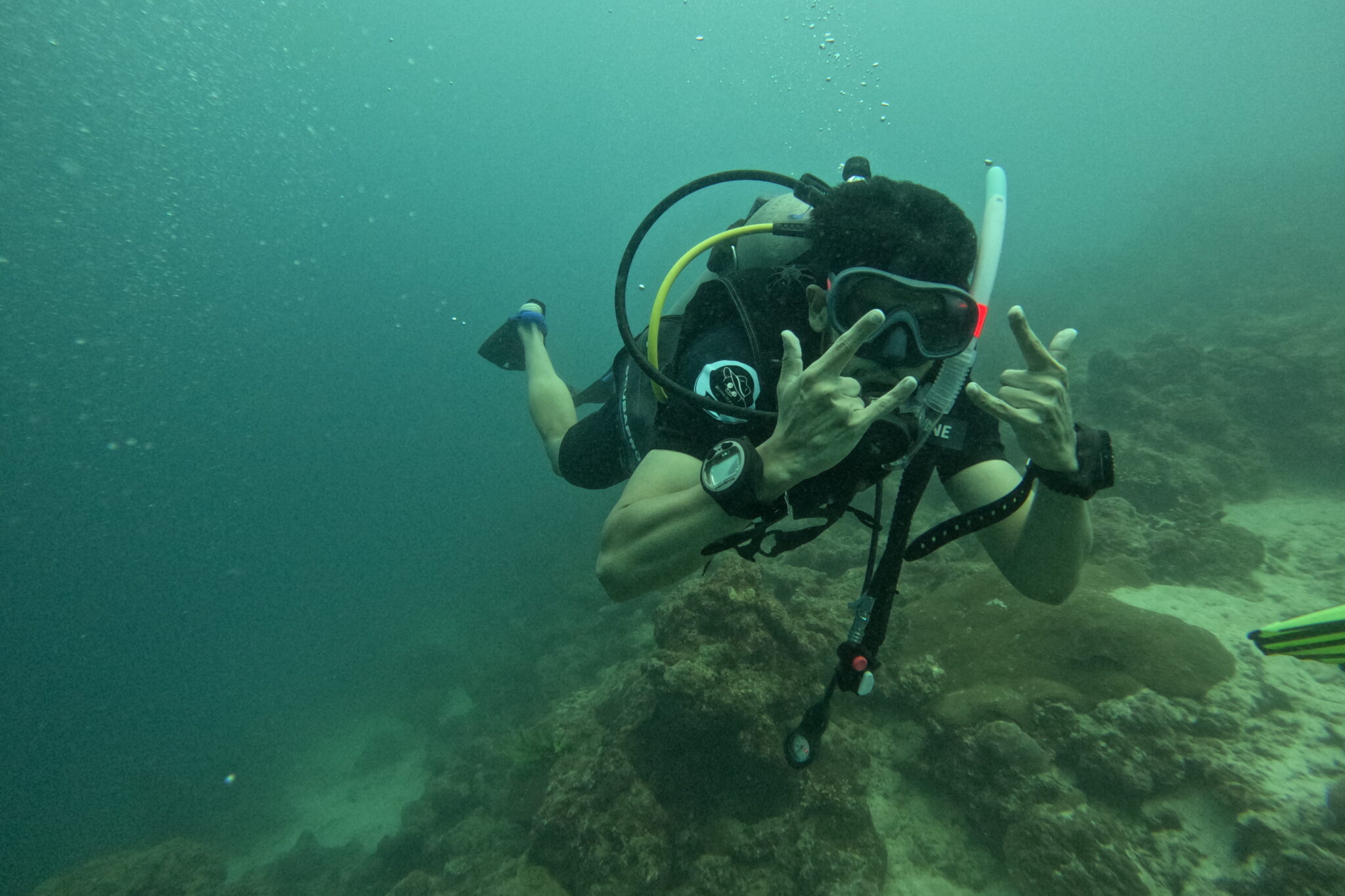 Scuba diver looking at the camera