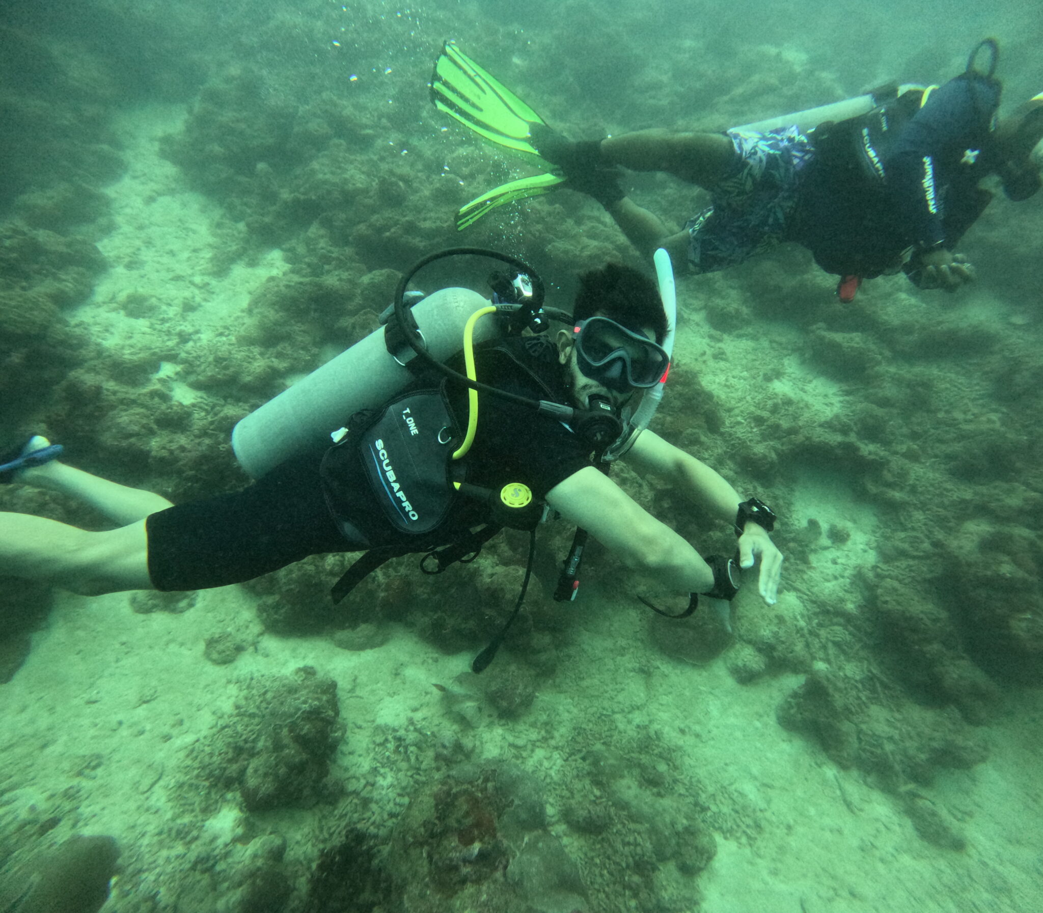 Two scuba divers swimming over a reef