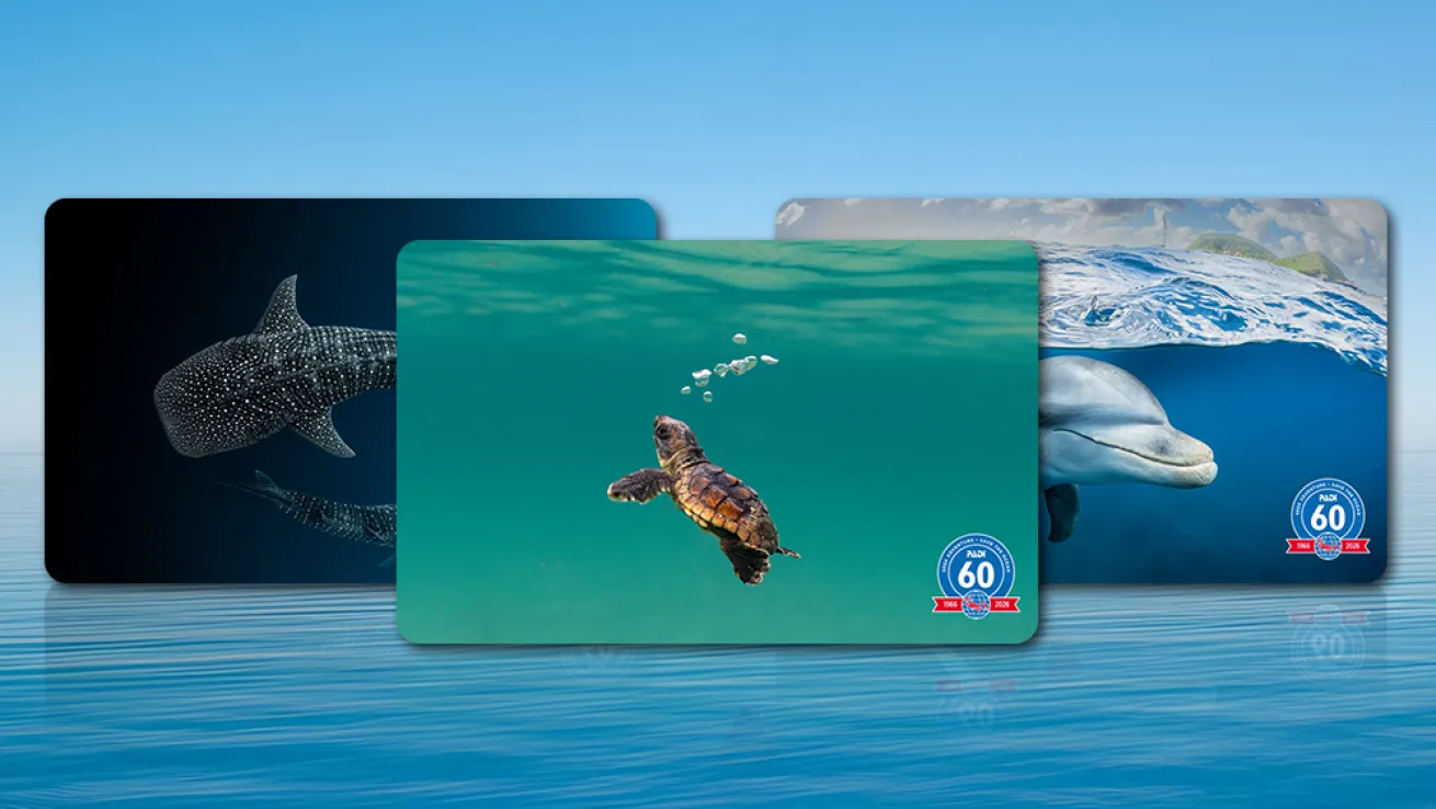 PADI limited-edition certification cards