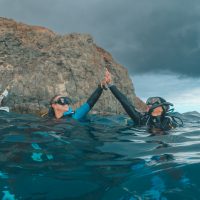 Two divers high fiving on the surface