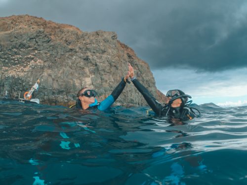 Two divers high fiving on the surface