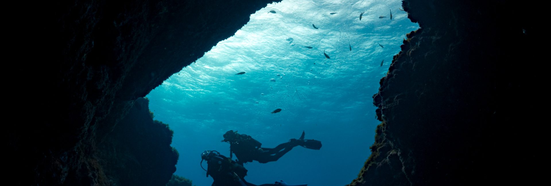 How Divers Can Help Shape Marine Protection in Spain