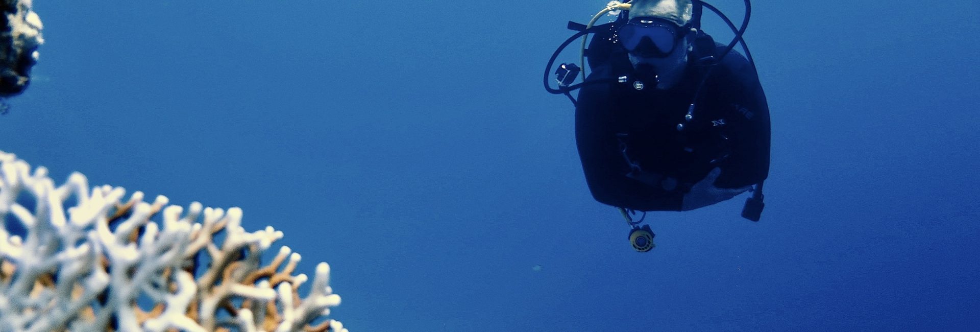 How Invictus Games Medalist Edwin de Wolf Found Strength Underwater