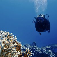 PADI Divemaster and adaptive diver Edwin de Wolf underwater on a scuba dive