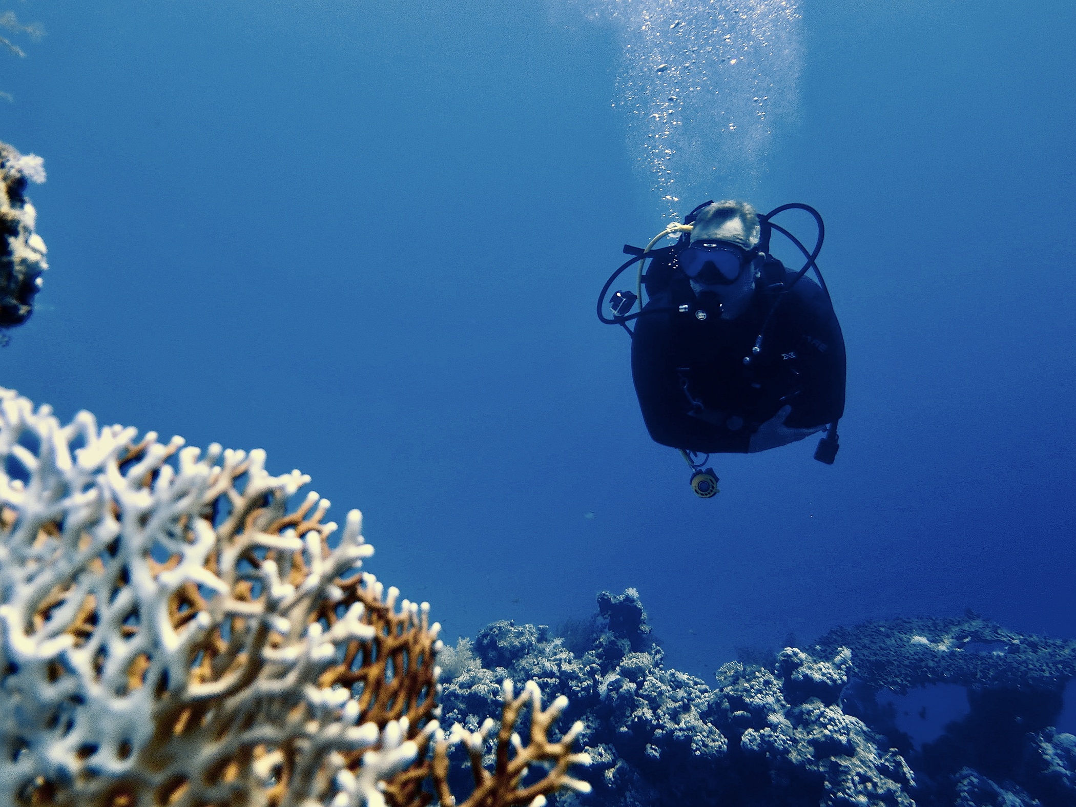 PADI Divemaster and adaptive diver Edwin de Wolf underwater on a scuba dive