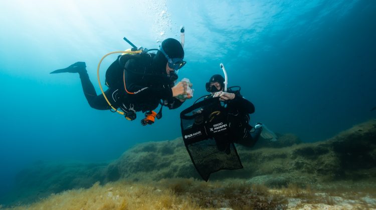 Two divers pick up debris during a dive against debris in Malta