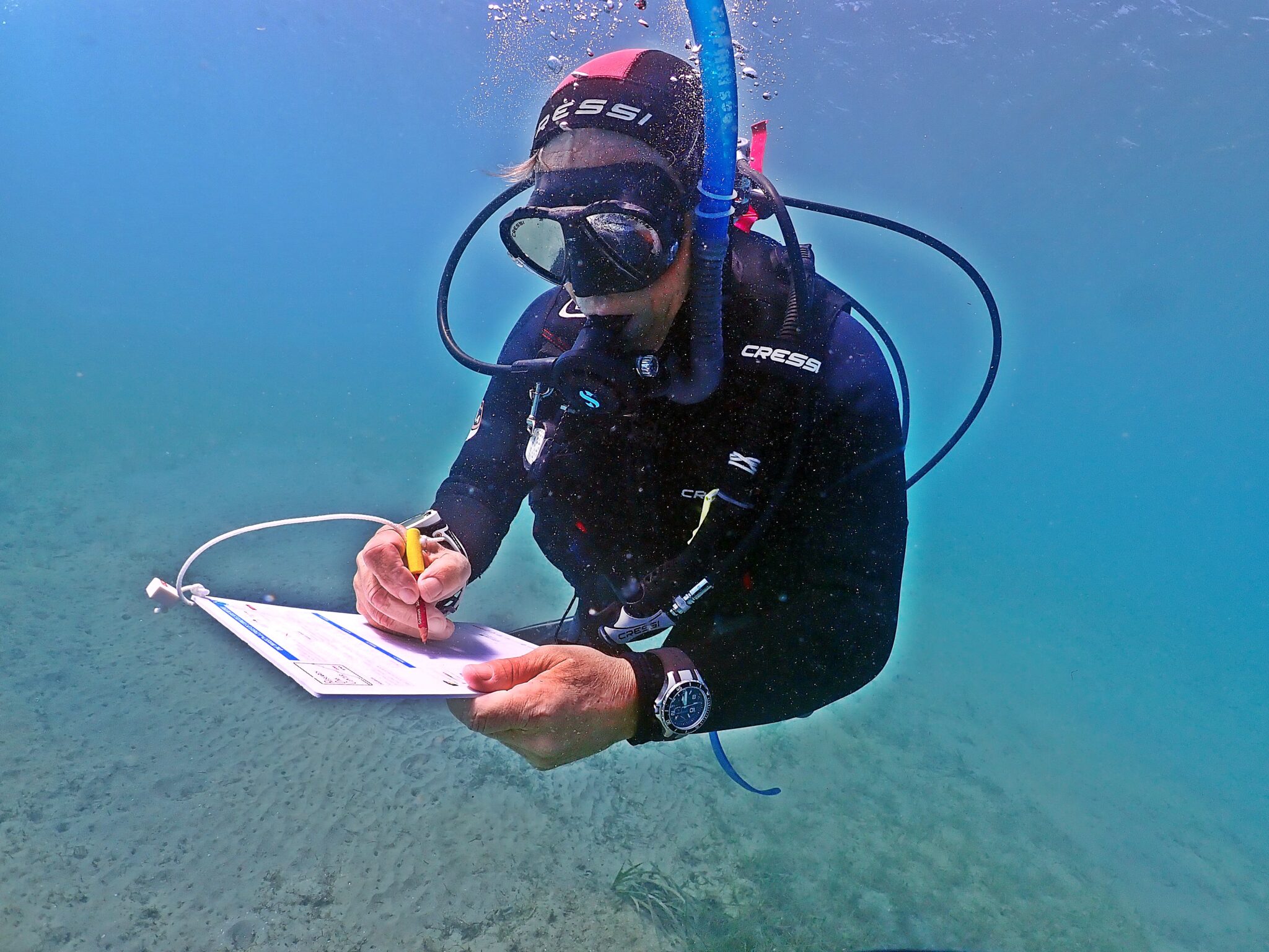 Scientific diver underwater writing on a large slate
