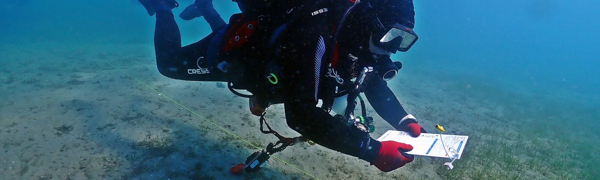 Bringing the PADI Scientific Diver Distinctive Specialty to Higher Education in Spain
