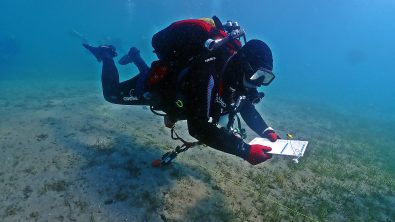 Scientific diver underwater carrying out sampling and writing on a large slate