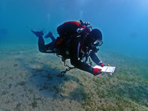 Scientific diver underwater carrying out sampling and writing on a large slate