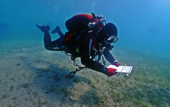 Scientific diver underwater carrying out sampling and writing on a large slate