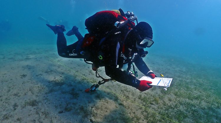 Scientific diver underwater carrying out sampling and writing on a large slate