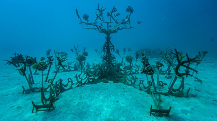 Artificial coral tree on a sandy bottom for Counting Corals restoration project in Fiji