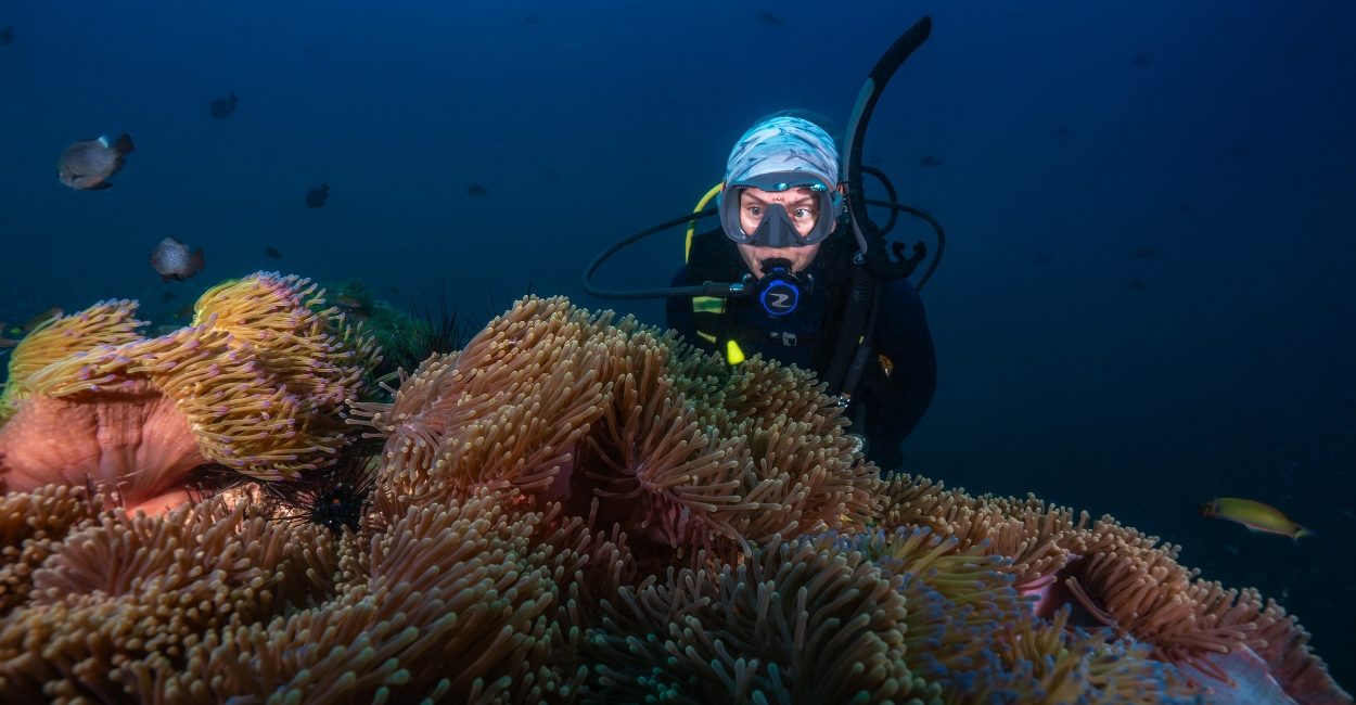 Por qué hacer el curso PADI ReActivate antes de mi viaje de buceo a Tailandia fue una de las mejores decisiones que he tomado