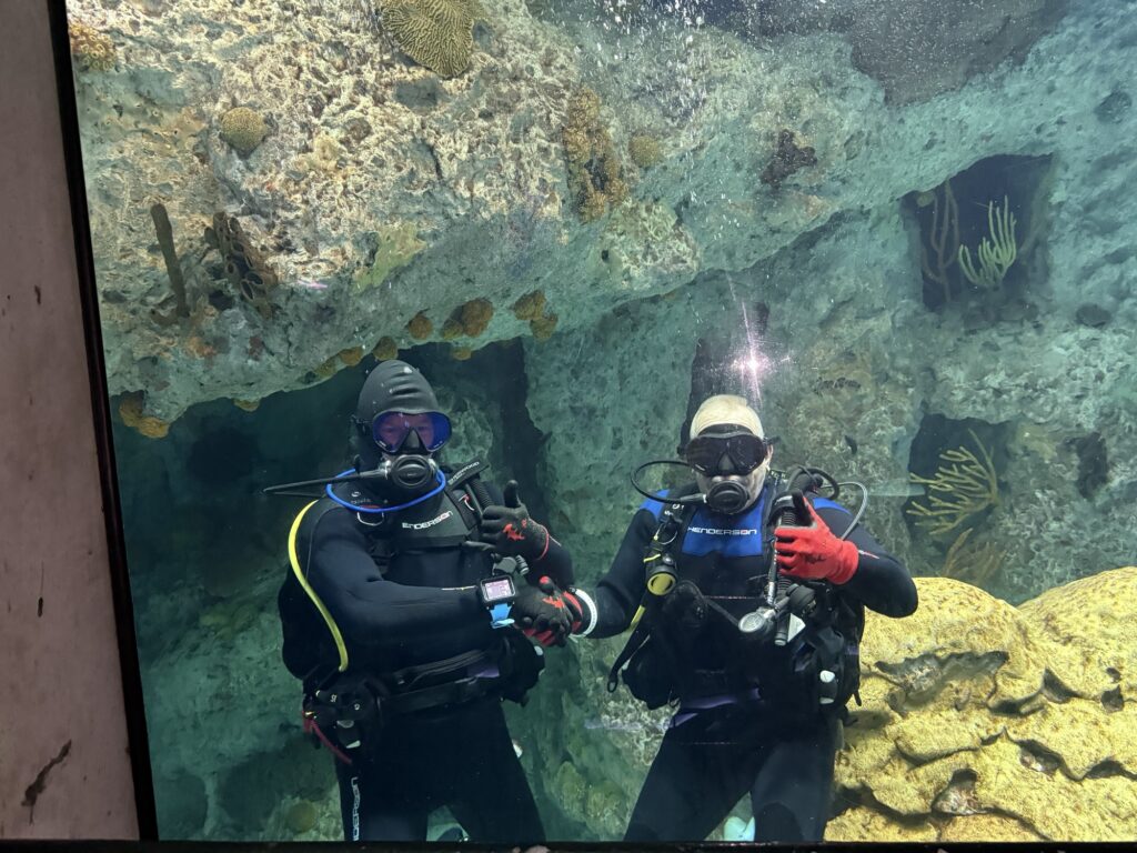 Curt Tomlinson, winner of the 2025 MSD Challenge, diving in an aquarium