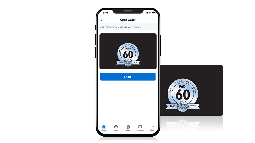padi's retro 60th anniversary certification card - black Pro card and eCard