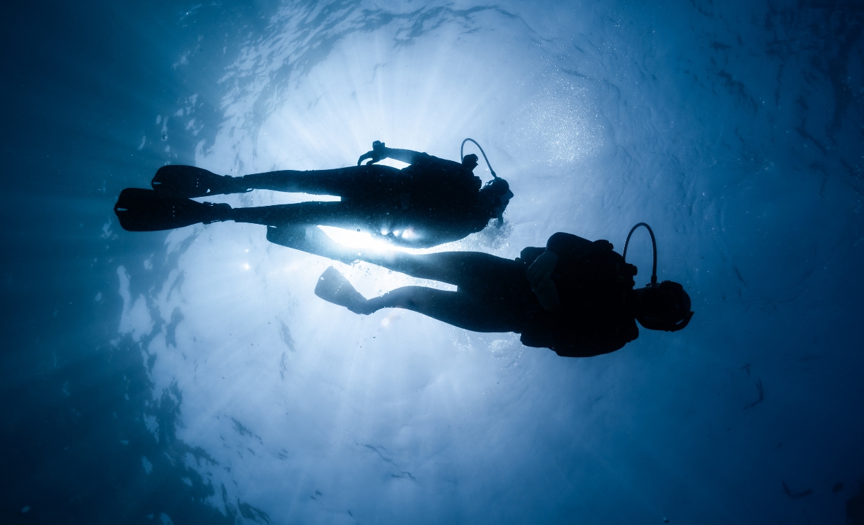 Under shot taken of two scuba divers.