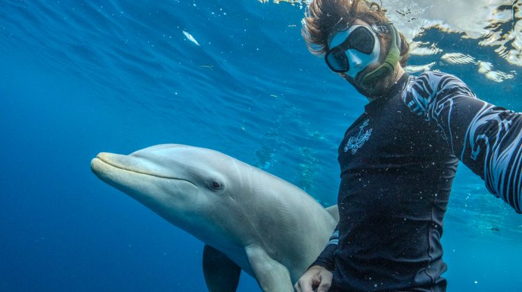 Kellon Spencer, photographer of our limited-edition card design, poses with Becky the dolphin