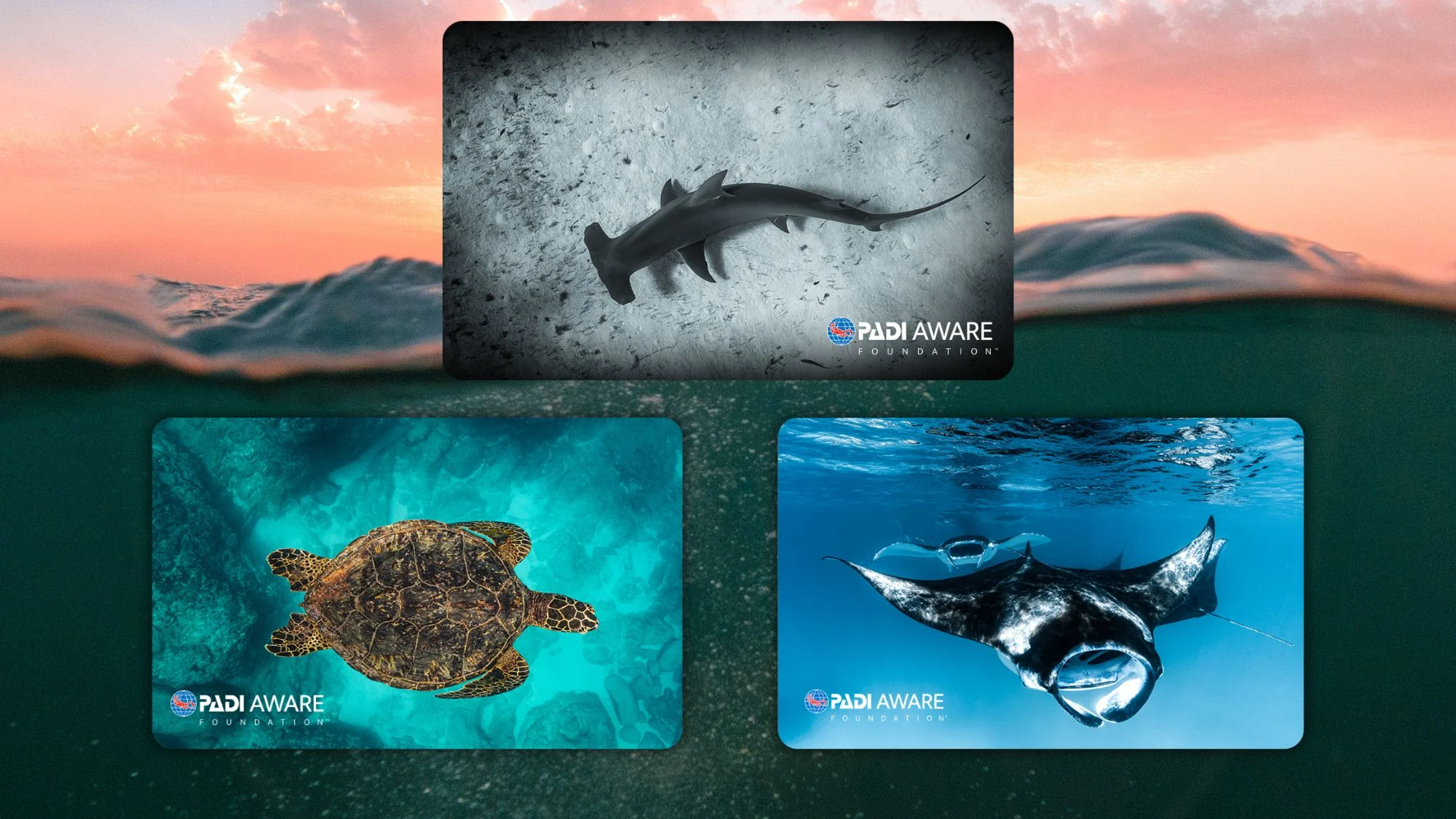 padi aware certification cards