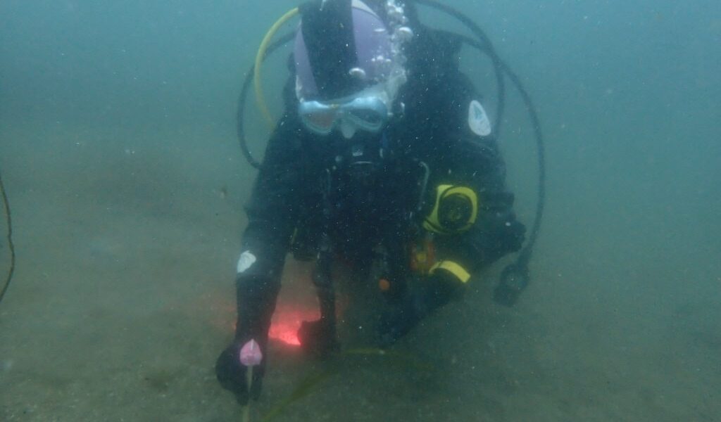 海洋保護のキャリアを目指す私が、Divemasterになった理由