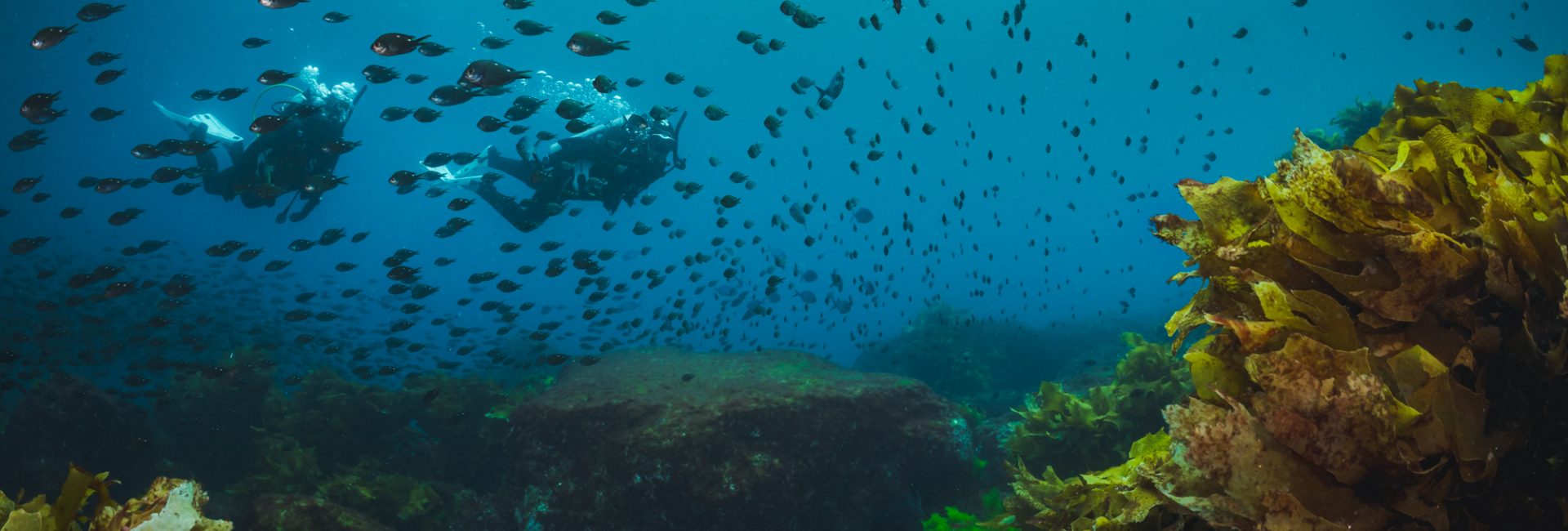 Are You Ready To Go Diving?