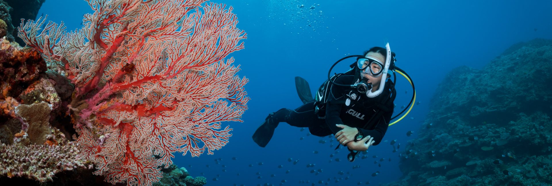 How To Book a Scuba Diving Course