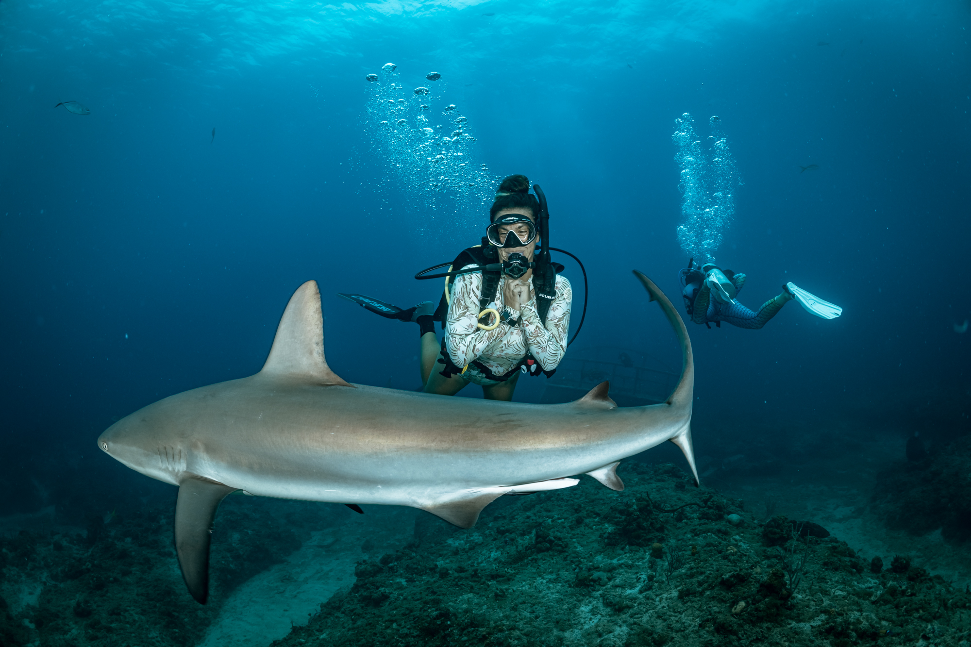 A diver posing behind a shark