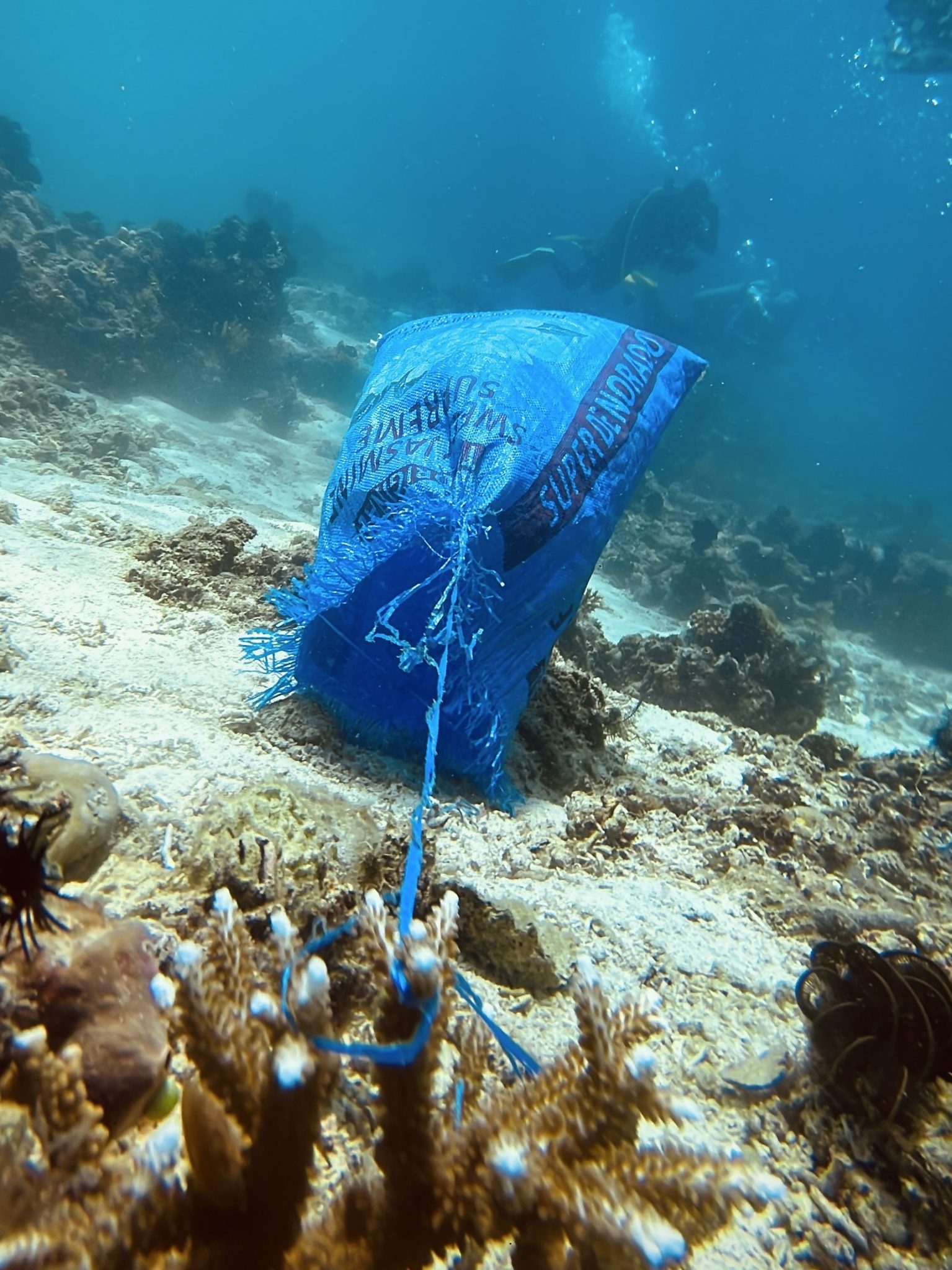 Ocean trash on the seafloor for a WDD photo contest