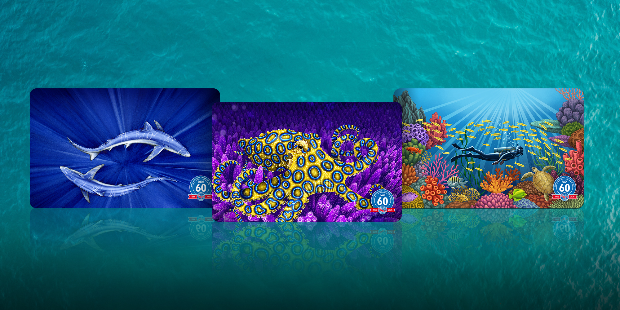 The three illustrated certification cards released for PADI's 60th anniversary in 2026