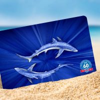 PADI certification card showing two blue sharks swirling in the light propped up on a sandy beach