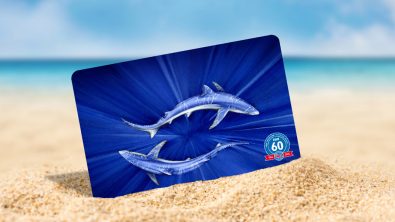 PADI certification card showing two blue sharks swirling in the light propped up on a sandy beach