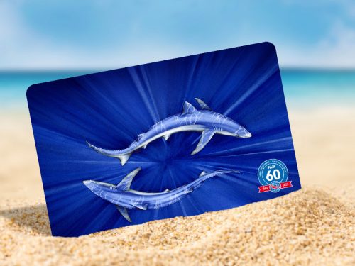 PADI certification card showing two blue sharks swirling in the light propped up on a sandy beach