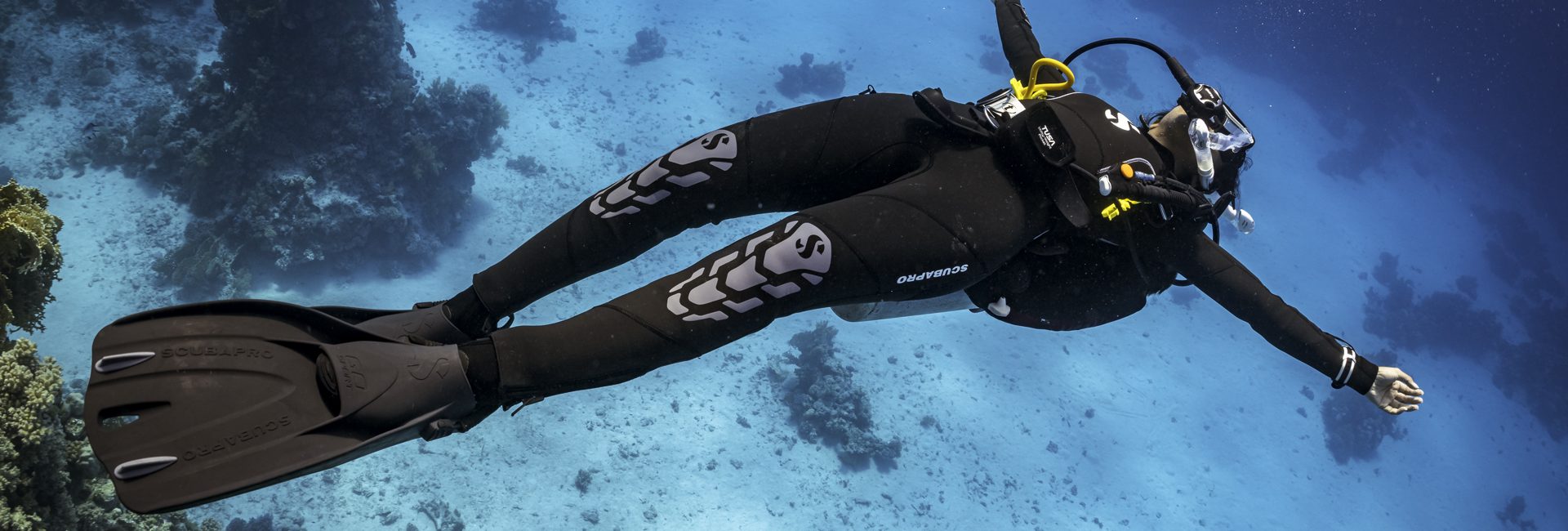 5 Reasons Why You Should Train as & Work as a PADI Pro in India