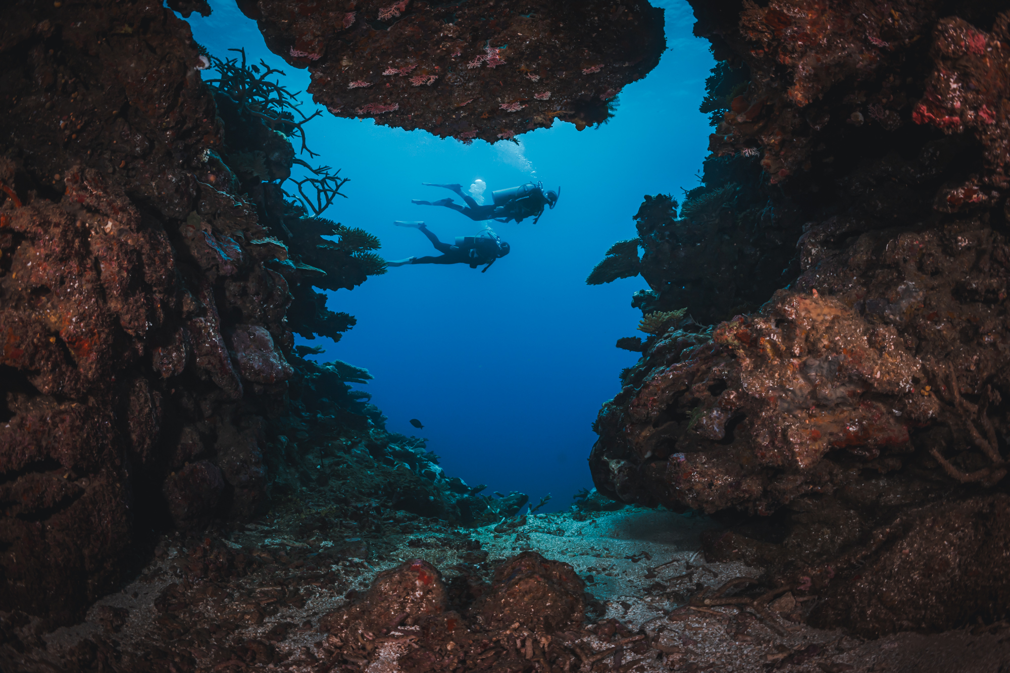 Two divers swimming in the background seen through a swim through