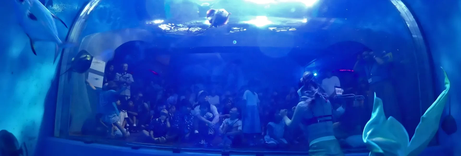 マーメイドをきっかけに、もっと海と仲良くなろう！浜名湖・ウォットでイベント開催