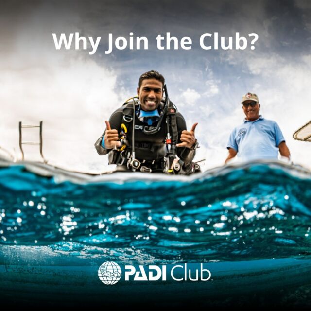 ทำไมนักดำน้ำหลายคนเข้าร่วมสมาชิก PADI Club? 🌍
1. เข้าถึงแหล่งข้อมูลการดำน้ำ 🤿สมาชิกจะได้รับส่วนลด 20% สำหรับหลักสูตร eLearning ต่าง ๆ ของ PADI 
พร้อมรับฟรีโปรแกรม ReActivate Online Refresher 
2. เชื่อมต่อกับชุมชนดำน้ำอยู่เสมอ 💙 เป็นสมาชิก Scuba Diving Magazine พร้อมรับเชิญให้เข้าร่วมกิจกรรมสุดพิเศษ เช่น กิจกรรมดำน้ำทั่วโลกและ Speaker Series ของเรา ซึ่งคุณจะได้พบปะกับผู้เชี่ยวชาญในอุตสาหกรรมการดำน้ำและผู้ที่มีความสนใจเช่นเดียวกับคุณ
3. สนับสนุนการอนุรักษ์มหาสมุทร 🌊 การเป็นสมาชิก PADI Club ไม่ได้เกี่ยวกับประโยชน์ส่วนบุคคลเท่านั้น แต่ยังเป็นโอกาสในการมีส่วนสนับสนุนในกิจกรรมที่ยิ่งใหญ่กว่าอีกด้วย ส่วนหนึ่งของค่าธรรมเนียมสมาชิกจะถูกมอบให้กับมูลนิธิ PADI AWARE Foundation โดยตรง เพื่อสนับสนุนการอนุรักษ์มหาสมุทรและการปกป้องสัตว์ทะเลทั่วโลก 

เข้าร่วม PADI Club เลยวันนี้ ไปที่ LinkinBio 🔗

Why do many divers join the PADI club? 🌍
1. Access to Educational Resources 🤿 Enjoy 20% off select PADI eLearning courses and get a free ReActivate online refresher program. 
2. Stay Connected With the Dive Community💙 A subscription to Scuba Diving magazine, which includes dive travel inspiration, gear reviews, and underwater photography tips, is included in the membership benefits. Additionally, PADI Club members are invited to exclusive activities, such as dive events around the world and our Speaker Series, where you can engage with experts in the diving industry and fellow enthusiasts.
3. Support Ocean Conservation 🌊 Joining PADI Club isn’t just about personal benefits – it’s also an opportunity to contribute to a larger cause. A portion of every membership fee goes directly to the PADI AWARE Foundation, supporting global ocean conservation and marine animal protection efforts. 

Join the PADI Club today! Go to LinkinBio🔗

#PADIClub #Scubadivingclub #seekadventuresavetheocean