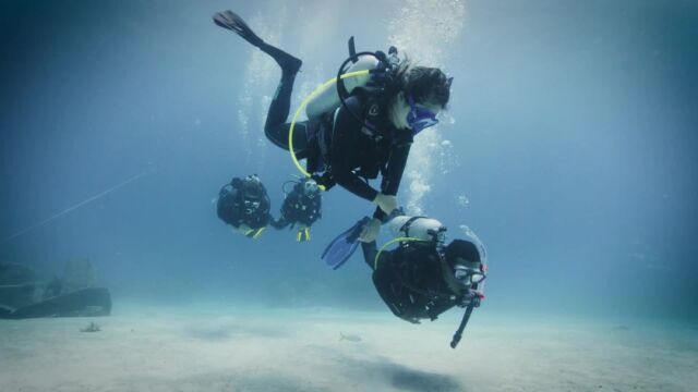 🤿If Diving Instructor is your dream career. ✨Start your first step with the PADI Dive Master Internship Program Today! 📍Check out How to apply and which PADI Dive Center to intern at LinkinBio 🔗

🤿ถ้าครูสอนดำน้ำเป็นอาชีพในฝันของคุณ ✨ มาเริ่มต้นก้าวแรกกับโปรแกรม PADI Dive Master Internship ได้แล้ววันนี้! 📍ดูวิธีการสมัครและศูนย์ดำน้ำ PADI ที่เปิดรับได้ที่ LinkinBio 🔗

#Divemasterinternship #PADIPro #ครูสอนดำน้ำPADI