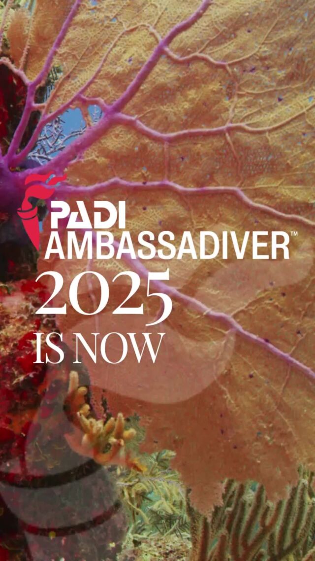 If you are passionate about diving, exploration, and adventure. 🌍 If you are mission-oriented and educate others about social or environmental issues that they are driving forward. 🪸 If you engage others effectively at the local or global level helping create positive global change. 💙
Then you could probably be the next PADI Ambassadiver 2025. 🙌 For more details about How to Become a PADI AmbassaDiver in 2025 👉 please visit LinkinBio 🔗

ถ้าคุณหลงใหลในการดำน้ำ การสำรวจและการผจญภัย 🌍 ถ้าคุณมีภารกิจที่ต้องการส่งเสริมการอนุรักษ์ดูแลรักษาสิ่งแวดล้อม 🪸ถ้าคุณเป็นคนหนึ่งที่สามารถสร้างการมีส่วนร่วมจากท้องถื่นหรือผู้คนรอบตัวอย่างกว้างขวางเพื่อร่วมขับเคลื่อนสร้างการเปลี่ยนแปลง 💙คุณอาจจะเป็น PADI Ambassadiver 2025 คนถัดไป 🙌 สำหรับรายละเอียดเพิ่มเติมในการสมัคร PADI Ambassadiver2025 👉 โปรดไปที่ LinkinBio 🔗

#PADIambassadiver #SeekAdventureSavetheOcean #PADI
