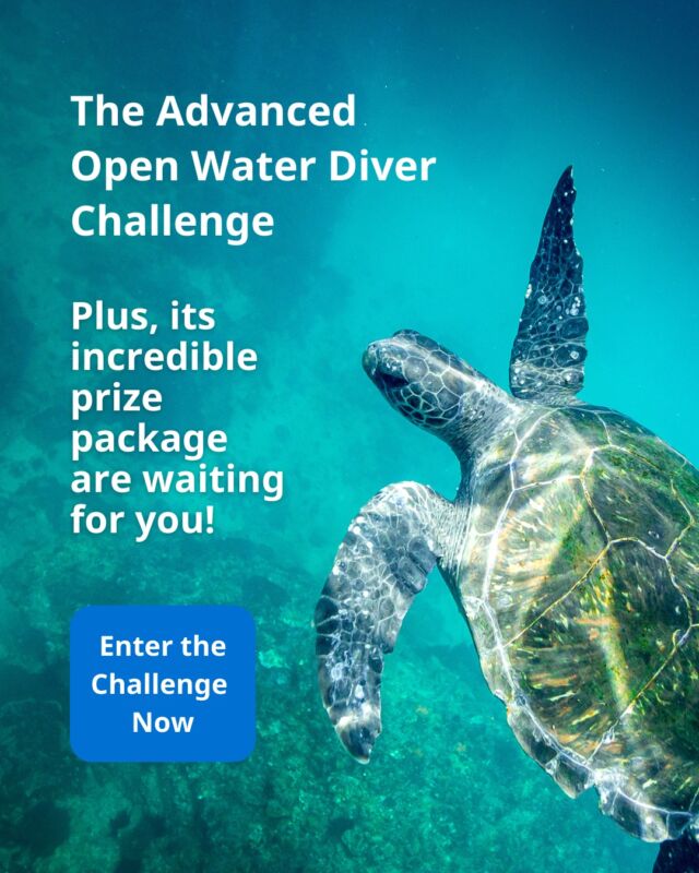 Last chance! Take Your Diving to the Next Level & Win Big! 🌊
Are you ready to go beyond Open Water and become an Advanced Open Water Diver? 🤿 Join the PADI Advanced Open Water Diver Challenge for a chance to enhance your skills AND win amazing prizes!


🏆 The Prizes 🏆
At the end of the contest, three lucky winners will be selected!

🥇 Grand Prize Winner:
✅ A PADI Specialty Diver Course of your choice
✅ A Fourth Element gear pack – including a wetsuit, fins, a mask, a snorkel, and a gear bag!


📅 Key Dates:
📝 Entry Period: March 1 – March 31, 2025
⏳ Contest Period: March 1 – April 30, 2025
📢 Winner Announcement: May 2025

To maximize your chances of winning, complete the Advanced Open Water Diver Challenge by earning your Advanced Open Water Diver certification and joining PADI Club before April 30, 2025!


🚀 Only 6 days left to apply! Don’t miss this opportunity to level up your diving skills and win big!


🔗 Sign up at Linkinbio

🇹🇭

📢 โค้งสุดท้าย!! มาเพิ่มสกิลการดำน้ำและลุ้นรางวัลใหญ่กับ PADI! 🌊
พร้อมก้าวข้ามระดับ Open Water และเป็น Advanced Open Water Diver แล้วหรือยัง? 🤿เข้าร่วม PADI Advanced Open Water Diver Challenge เพื่อพัฒนาทักษะของคุณ และ ลุ้นรับรางวัลสุดพิเศษ!

🏆 ของรางวัล 🏆
เมื่อสิ้นสุดแคมเปญ จะมีผู้โชคดี 3 คน ที่ได้รับรางวัล!

🥇 รางวัลชนะเลิศ:
✅ คอร์ส PADI Specialty Diver ที่คุณเลือกเอง
✅ ชุดอุปกรณ์ดำน้ำจาก Fourth Element ประกอบด้วย ชุดเว็ทสูท, ตีนกบ, หน้ากาก, สน็อกเกิล และกระเป๋าใส่อุปกรณ์!

📅 กำหนดการ:
📝 ช่วงเวลารับสมัคร: 1 – 31 มีนาคม 2025
⏳ ช่วงแข่งขัน: 1 มีนาคม – 30 เมษายน 2025
📢 ประกาศรายชื่อผู้ชนะ: พฤษภาคม 2025

เพิ่มโอกาสชนะของคุณ! เพียง สำเร็จหลักสูตร Advanced Open Water Diver และเข้าร่วม PADI Club ก่อนวันที่ 30 เมษายน 2025

🚀 เหลือเวลาอีกเพียง 6 วันในการสมัคร! อย่าพลาดโอกาสพัฒนาทักษะและลุ้นรางวัลสุดพิเศษ!
🔗 สมัครเลยตอนนี้ที่ Linkinbio


#PADI #AdvancedOpenWaterDiver #DivingChallenge #PADIchallenge #seekadventure #divingisfun #PADIThailand