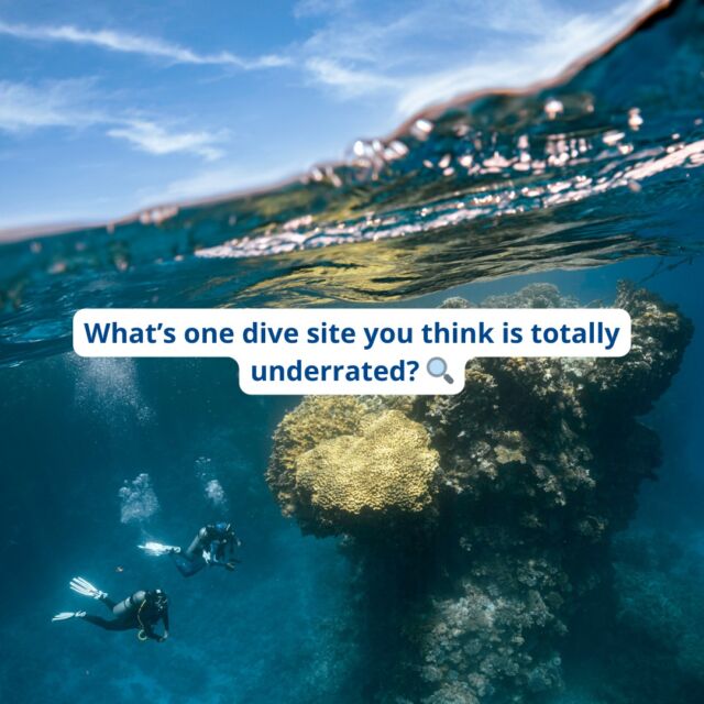 What’s one dive site you think is totally underrated? 🤿🌍 Drop your hidden gems below—we’re building the ultimate must-dive list!